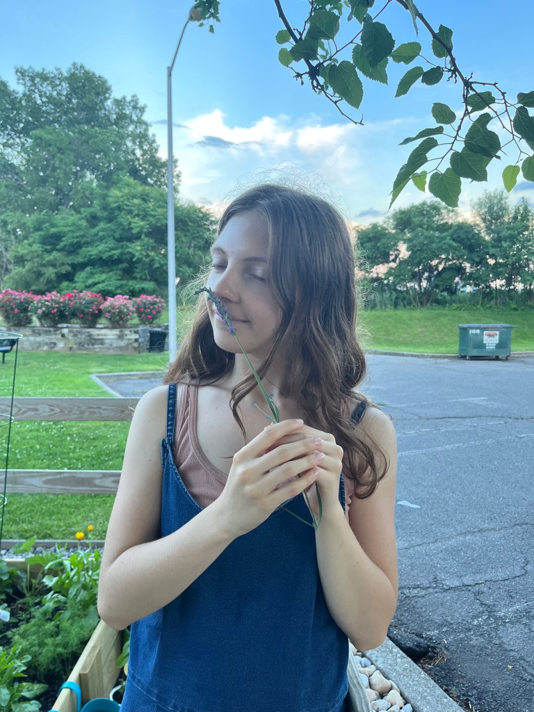 The current image has no alternative text. The file name is: img_7338.jpg